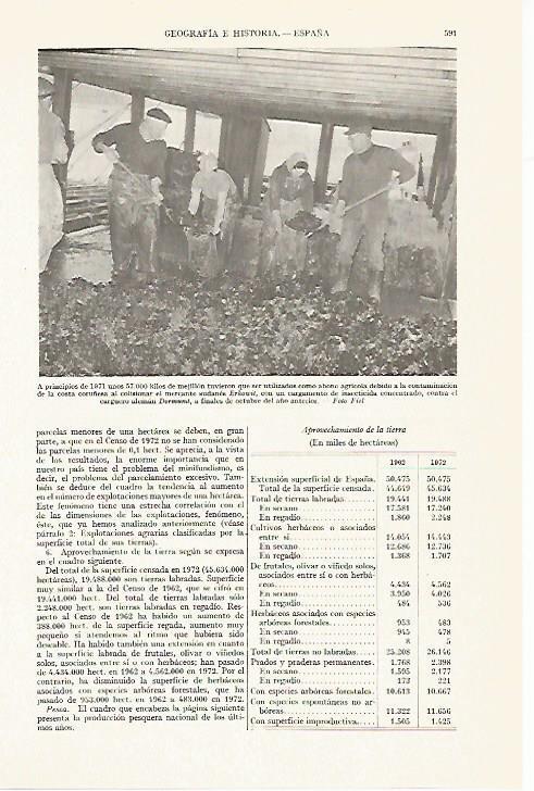 LAMINA ESPASA 13388: Mejillon contaminado por el Erkowit