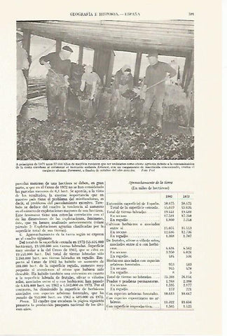 LAMINA ESPASA 13388: Mejillon contaminado por el Erkowit