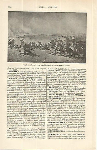 LAMINA ESPASA 13725: Combate de Grossgorschen 2 de mayo de 1813