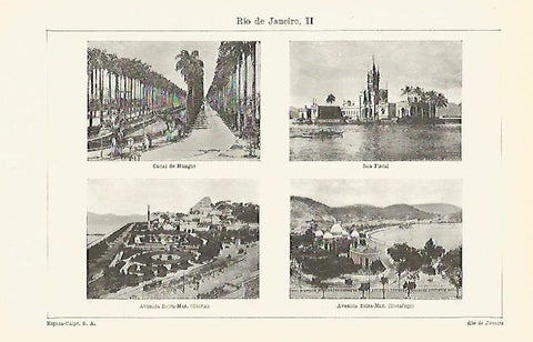 LAMINA ESPASA 13648: Avenidas de Rio de Janeiro