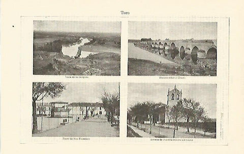 LAMINA ESPASA 1345: Paisajes de Toro Zamora