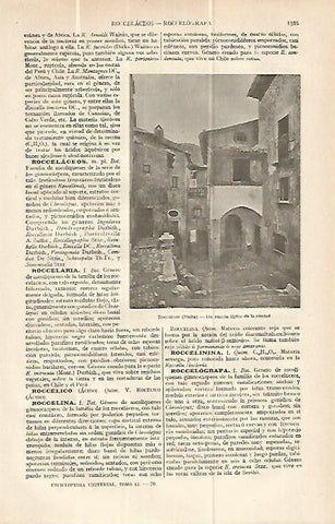LAMINA ESPASA 13710: Rincon de Roccaraso Italia