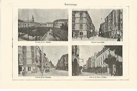 LAMINA ESPASA 1362: Vistas de Torrelavega Santander