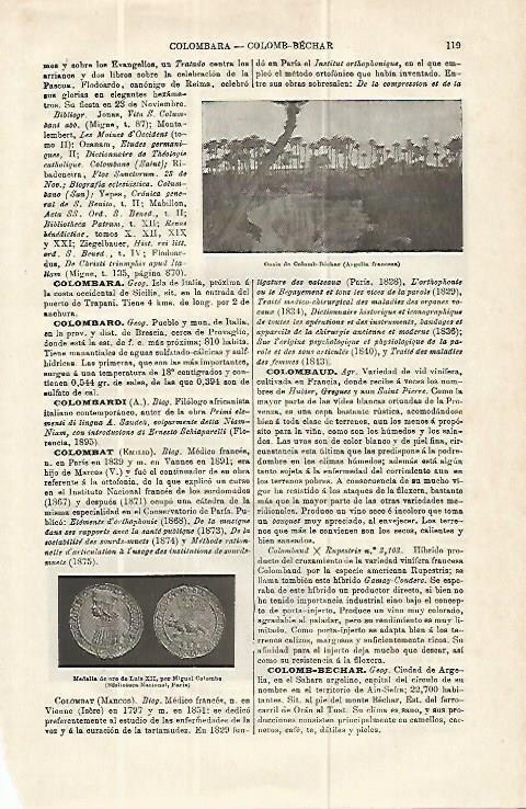 LAMINA ESPASA 13913: Oasis de Colomb-Bechar Argelia