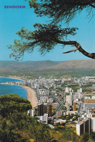 POSTAL B6811: BENIDORM: VISTA PANORAMICA