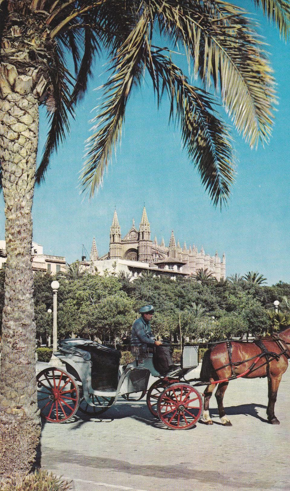 POSTAL B6818: MALLORCA: PALMA