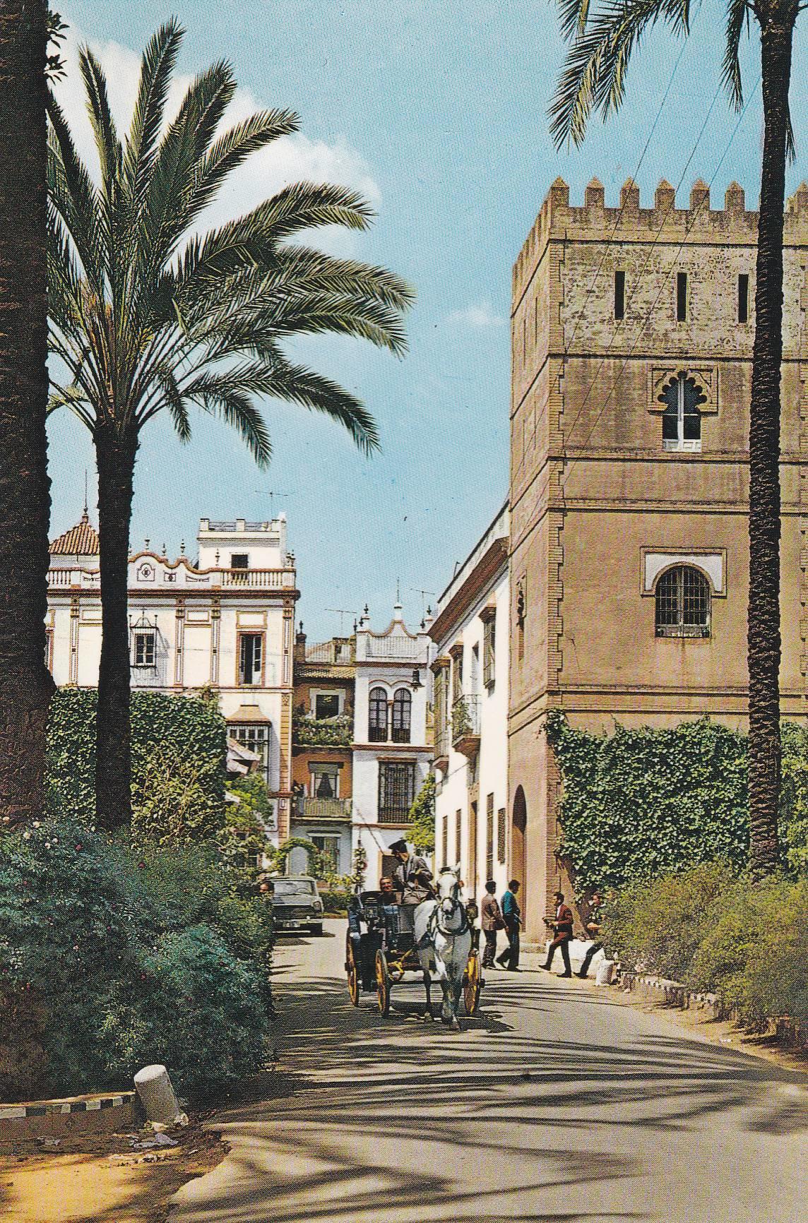 POSTAL B6824: SEVILLA: BARRIO DE LA SANTA CRUZ