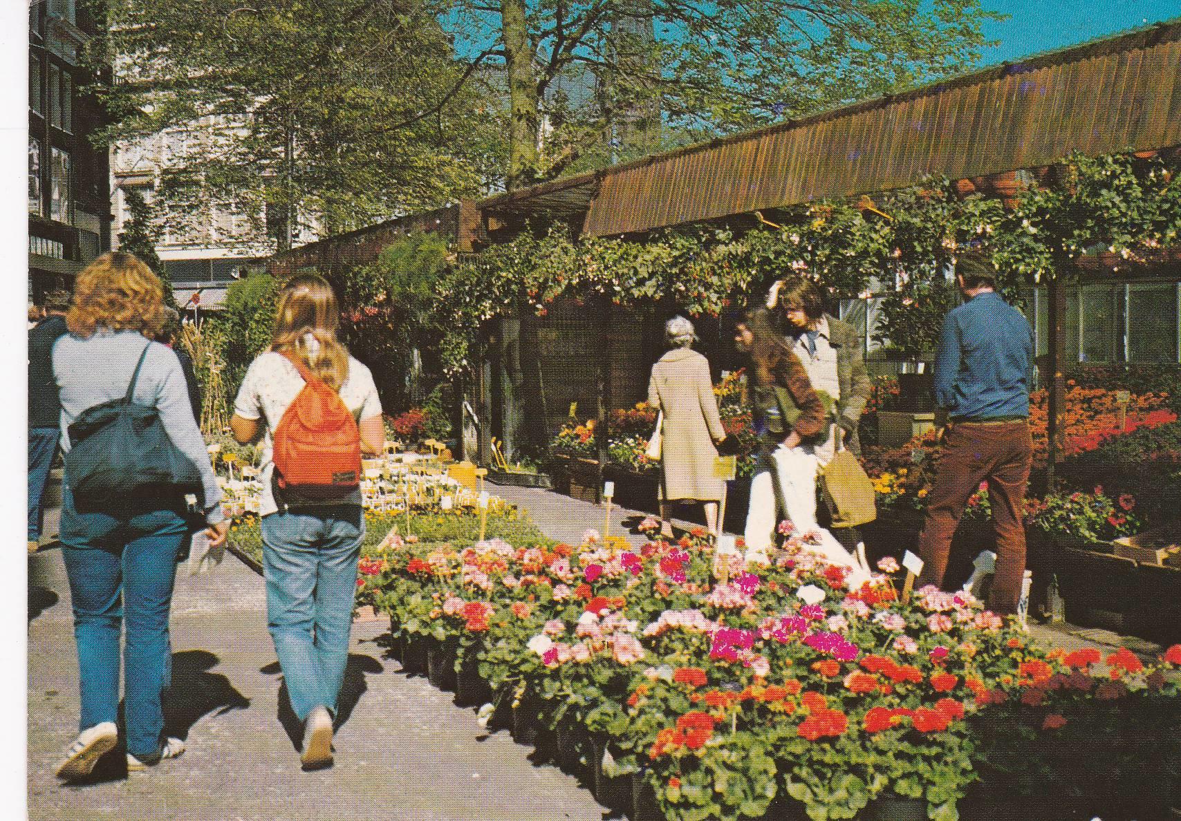 POSTAL B6841: AMSTERDAM: BLOEMENMARKT
