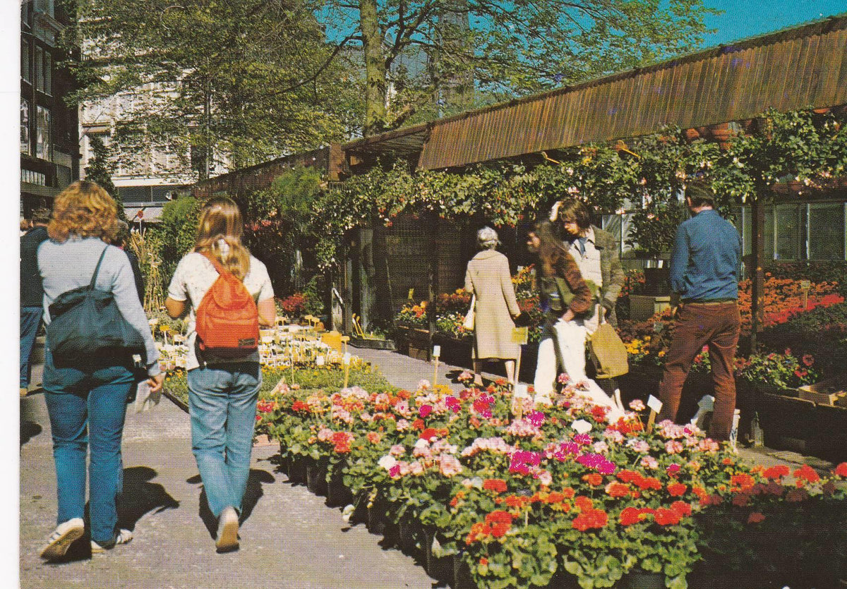 POSTAL B6841: AMSTERDAM: BLOEMENMARKT