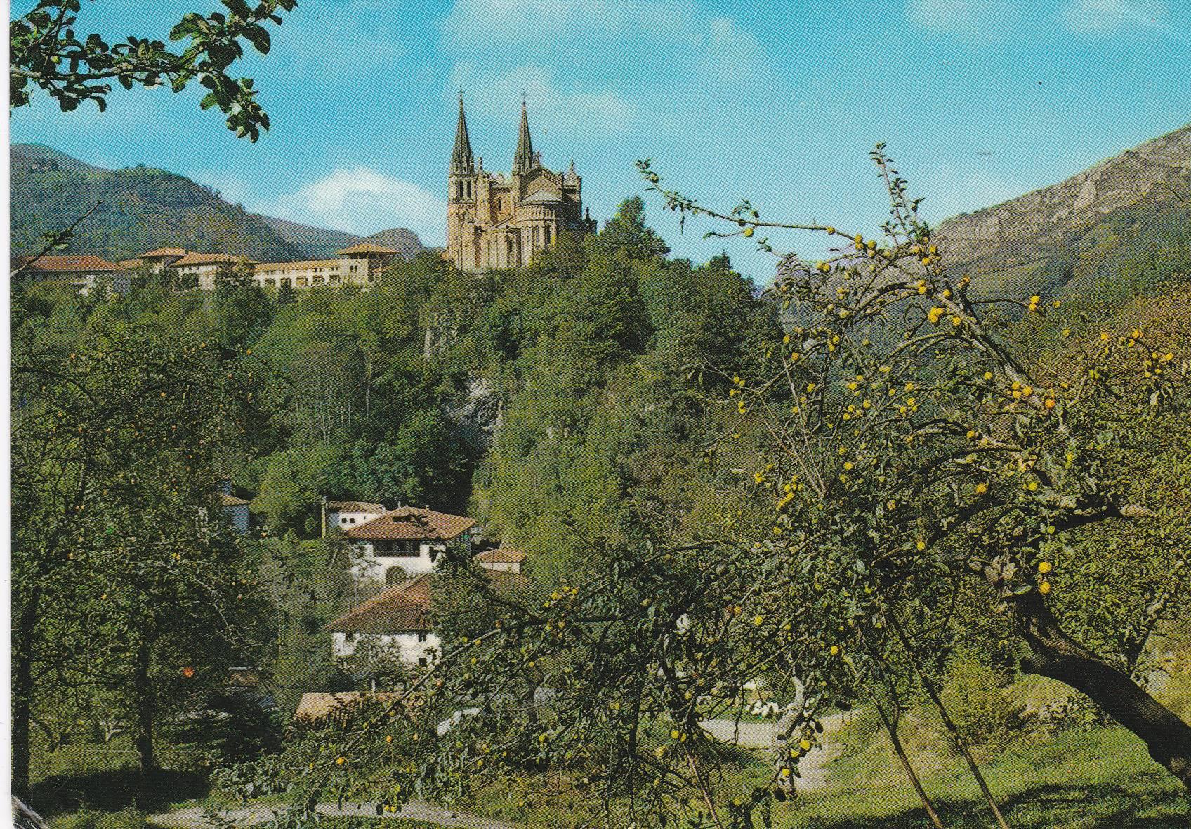 POSTAL B6860: COVADONGA: VISTA GENERAL
