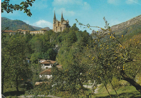 POSTAL B6860: COVADONGA: VISTA GENERAL