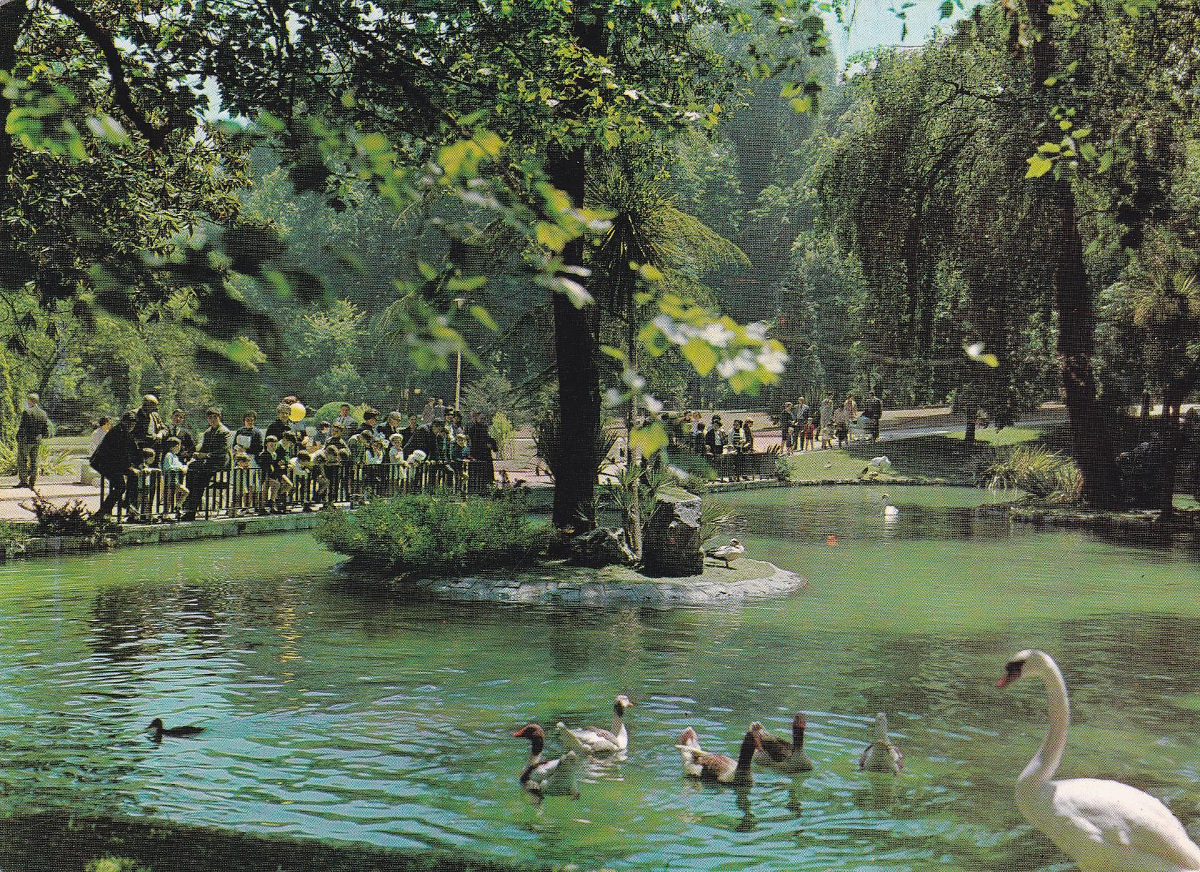 POSTAL B6862: OVIEDO: CAMPO DE SAN FRANCISCO