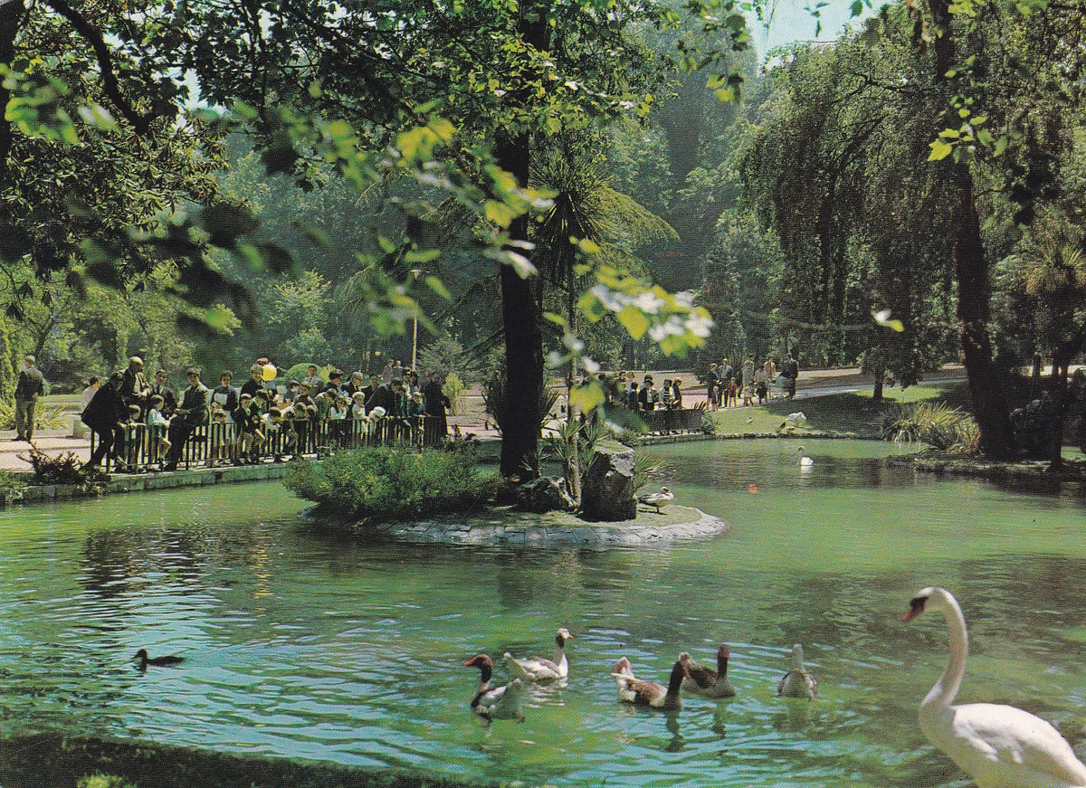 POSTAL B6862: OVIEDO: CAMPO DE SAN FRANCISCO