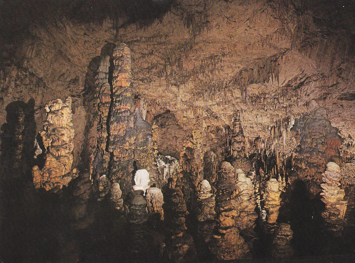 POSTAL B6980: POSTOJNSKA: CAVES