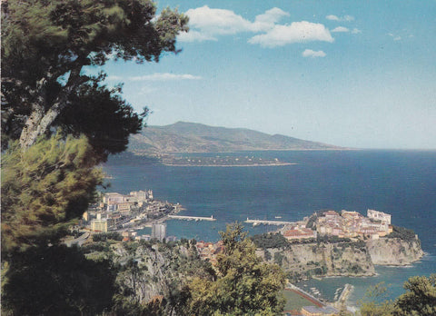 POSTAL B7011: MONACO: VISTA PANORAMICA