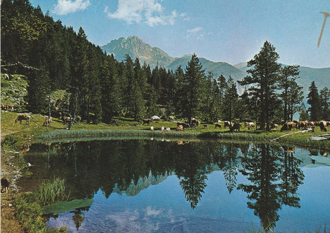 POSTAL B7041: BENASQUE: VALLE DE ESTOS