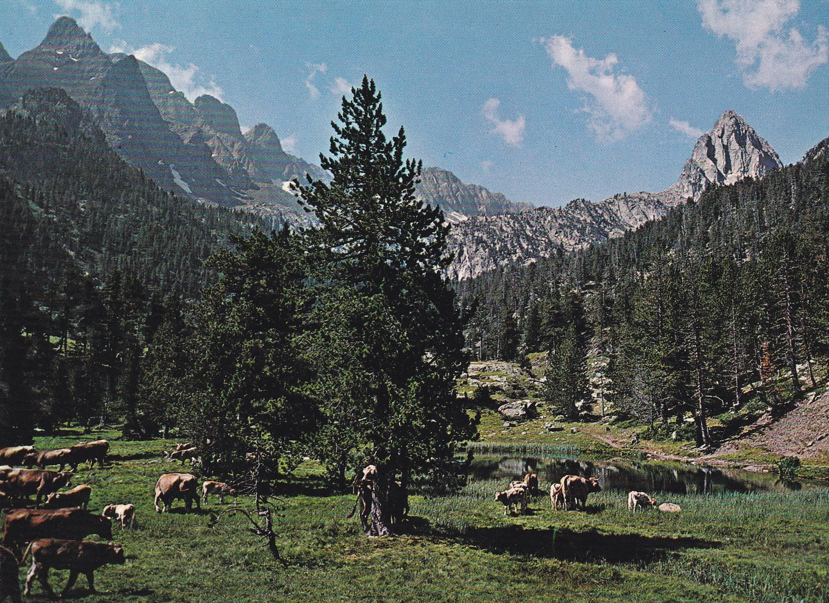 POSTAL B7042: BENASQUE: VALLE DE ESTOS