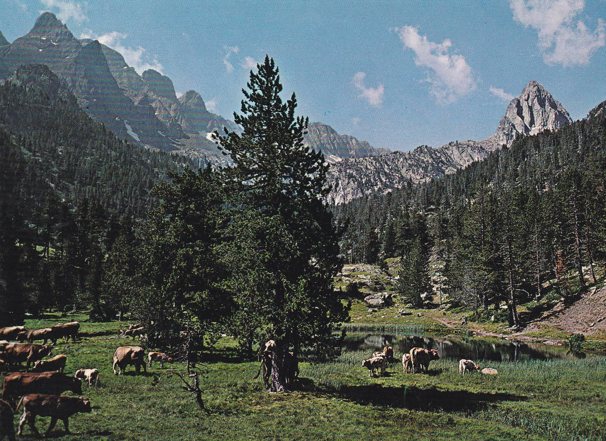 POSTAL B7042: BENASQUE: VALLE DE ESTOS
