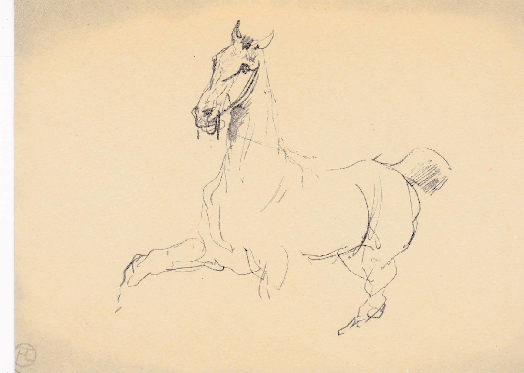 POSTAL B7072: BOCETO DE CABALLO