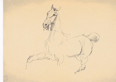 POSTAL B7072: BOCETO DE CABALLO