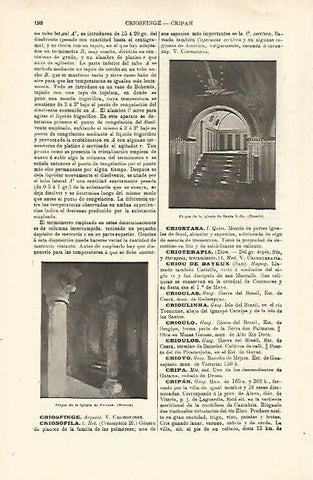 LAMINA ESPASA 29730: Cripta de las iglesias de Dresde y de Pertusa