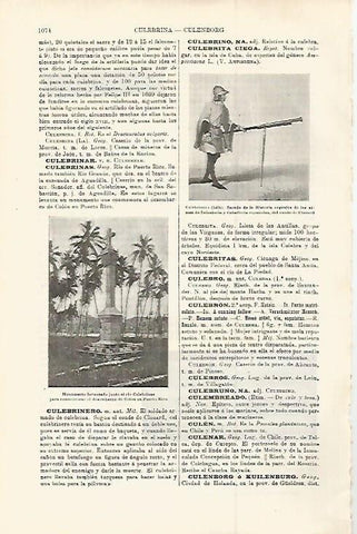 LAMINA ESPASA 29844: Culebrinero del 1490