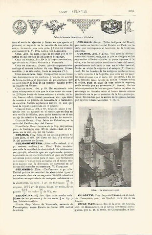 LAMINA ESPASA 29845: Culos de lampara tipograficos