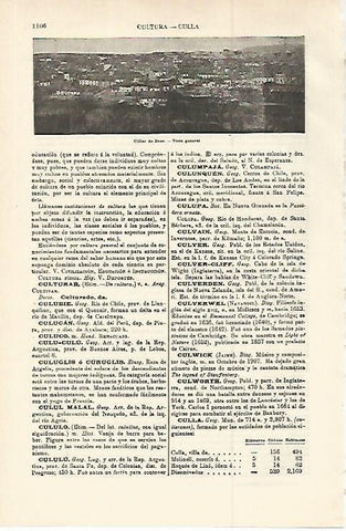 LAMINA ESPASA 29850: Vista de Cullar de Baza Granada