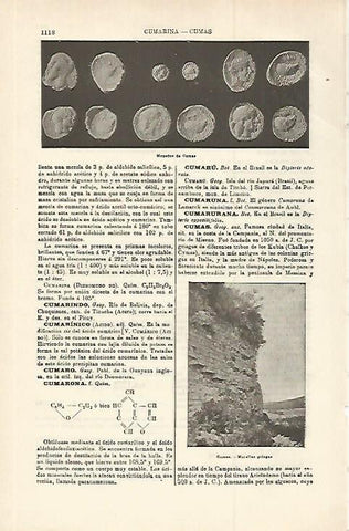LAMINA ESPASA 29854: Monedas de Cumas