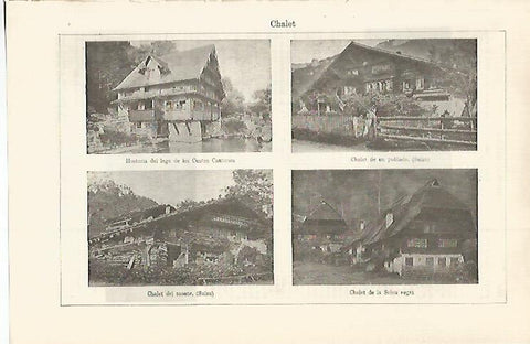 LAMINA ESPASA 29901: Chalets en Suiza y Alemania 
