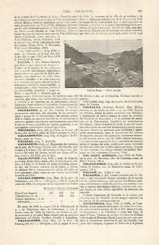 LAMINA ESPASA 30063: Vista de Vals les Bains Francia