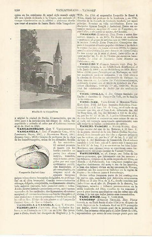 LAMINA ESPASA 30160: Abadia de la Vangadizza