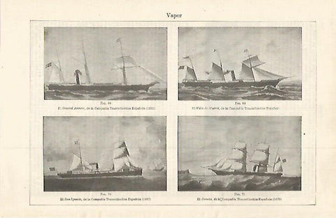 LAMINA ESPASA 30175: Vapores de la Compañia Transatlantica Española