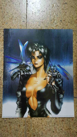 Poster manga: Masamune Shirow modelo 1