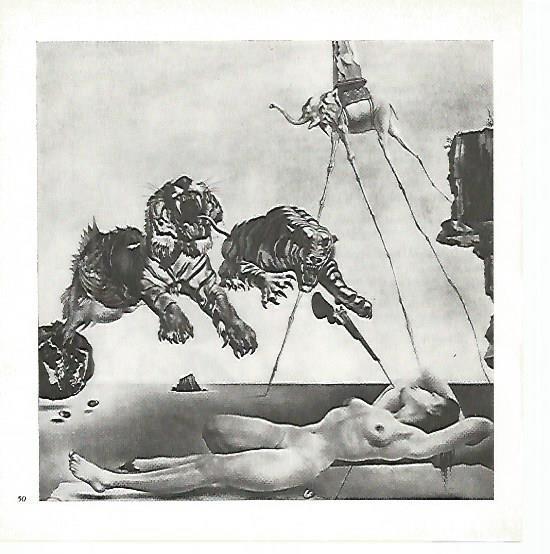 LAMINA 1705: DALI. El sueño