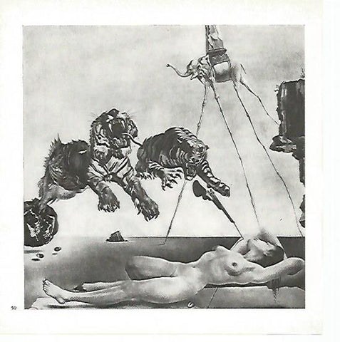 LAMINA 1705: DALI. El sueño