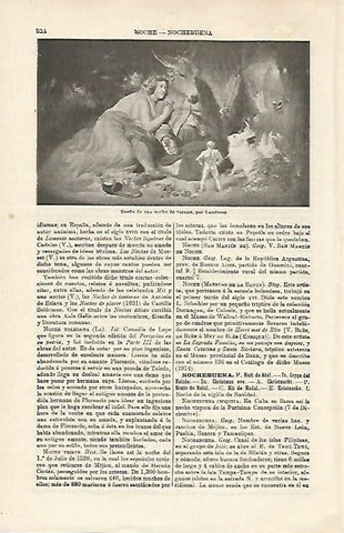 LAMINA ESPASA 20210: Sueño de una noche de verano por Landseer