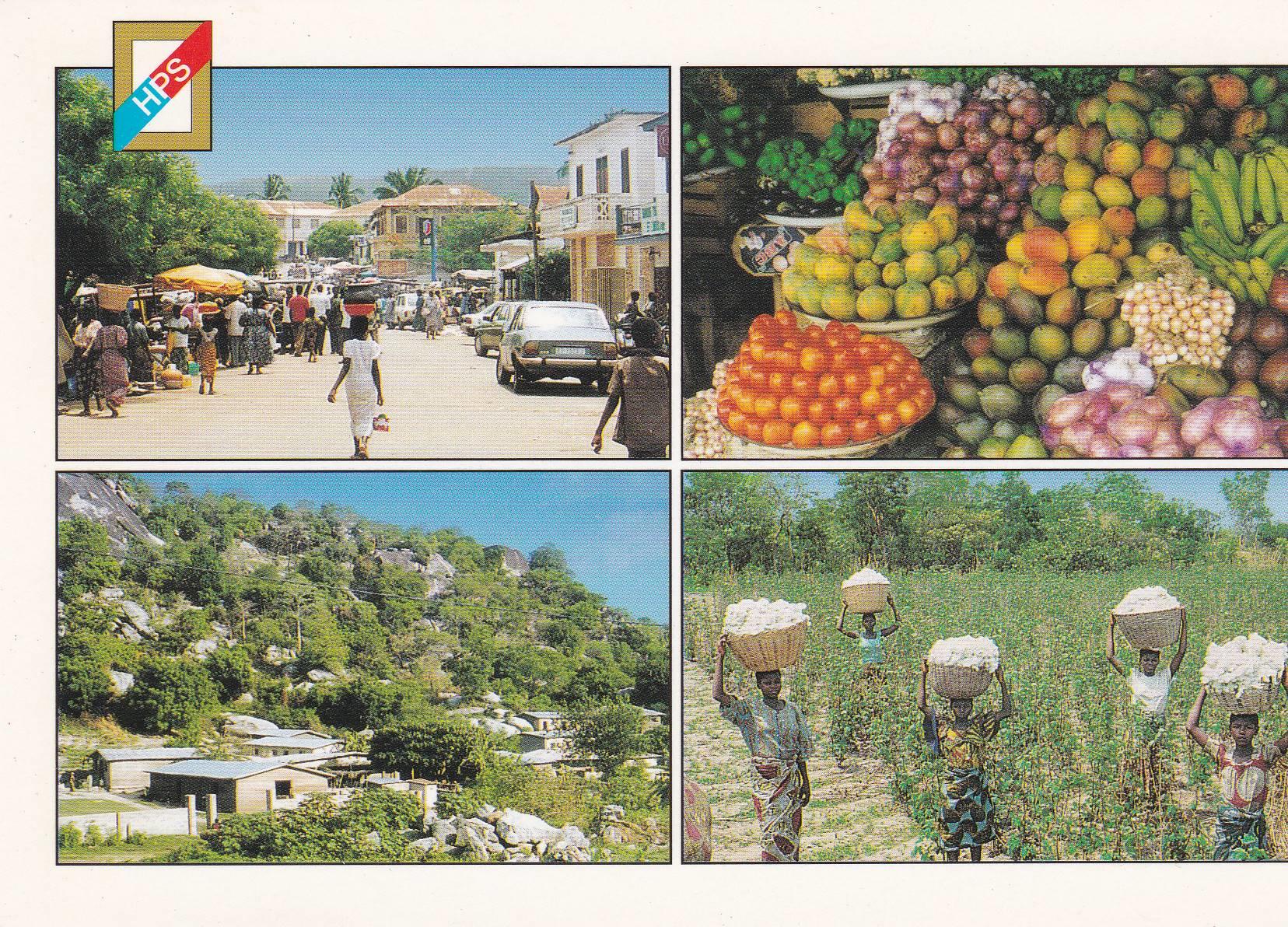 POSTAL B7116: MISOURI: RECOLECTA DE ALGODON