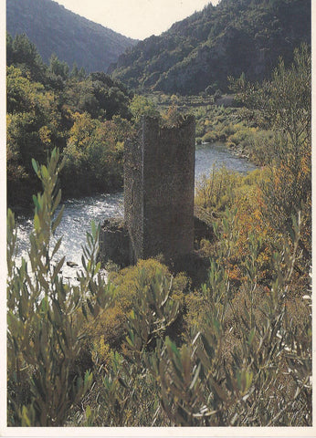 POSTAL B7176: FRANCIA: LANGUEDOC