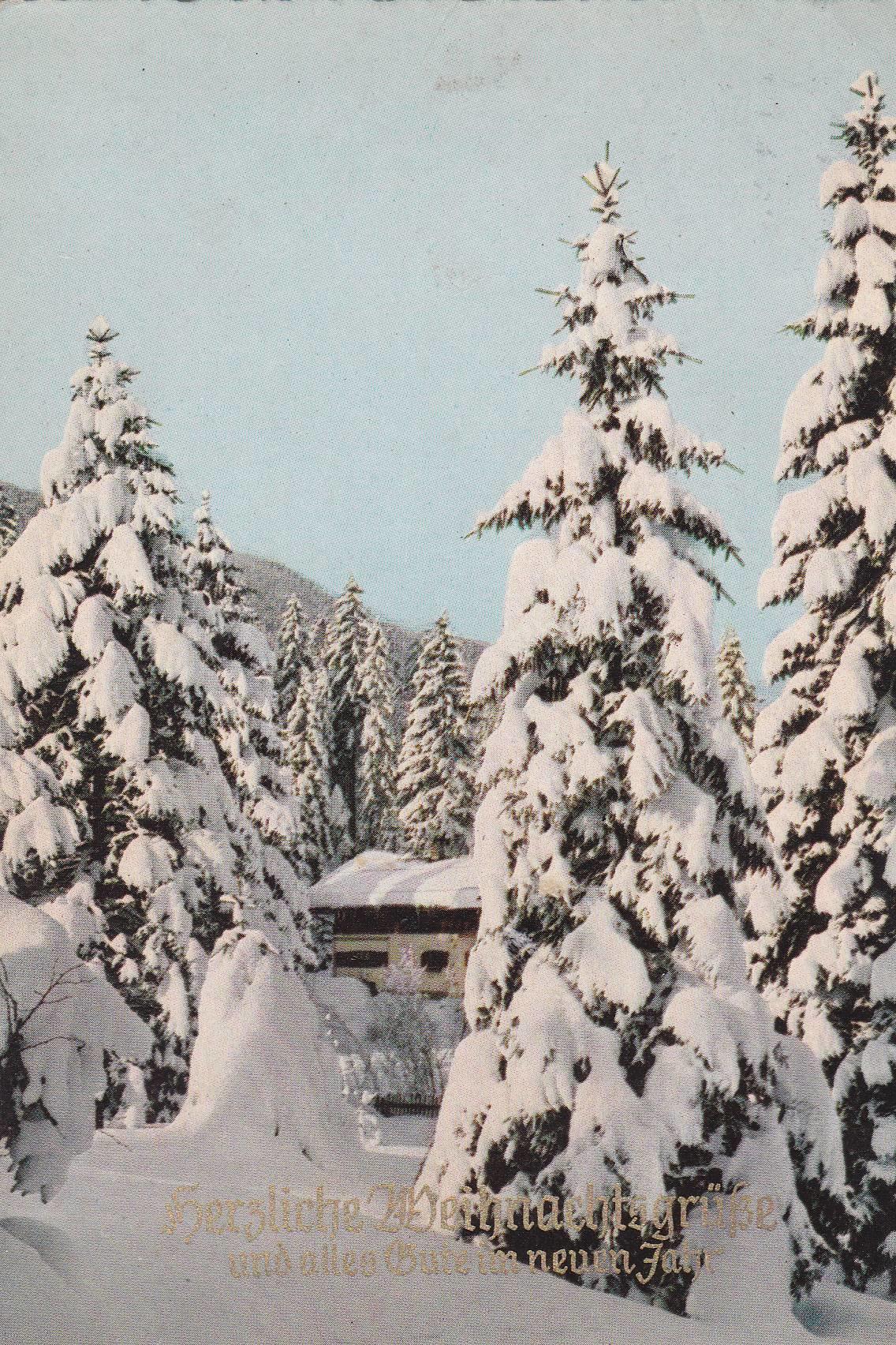 POSTAL B7290: ALEMANIA: PAISAJE NEVADO