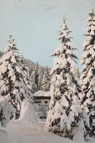 POSTAL B7290: ALEMANIA: PAISAJE NEVADO