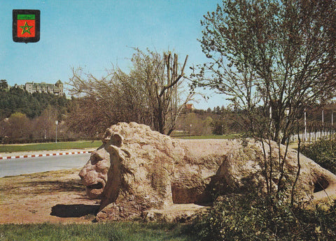 POSTAL B7359: IFRANE: LEON Y PALACIO REAL