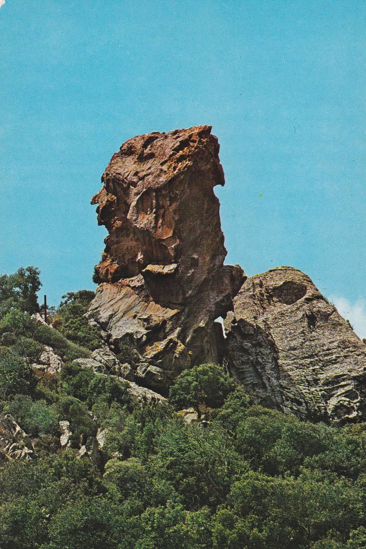 POSTAL B7367: MENORCA: MERCADAL