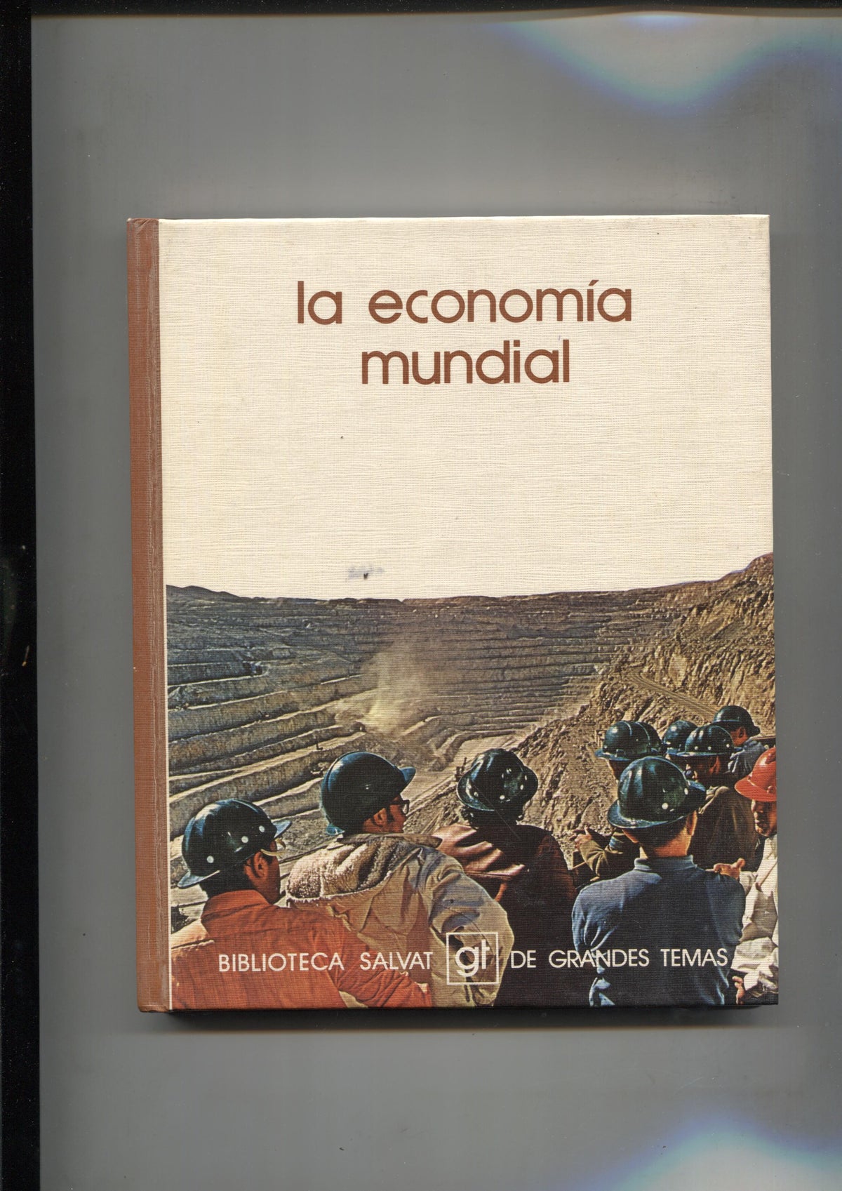 Biblioteca Salvat de Grandes Temas volumen 035: La economia mundial