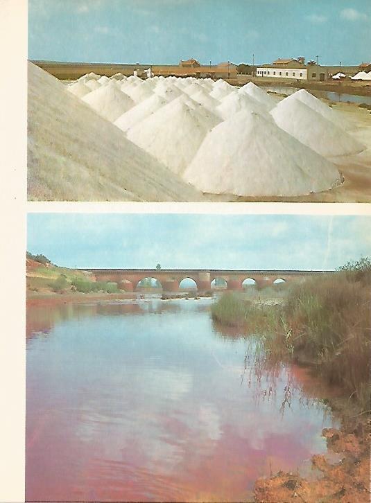 LAMINA 10943: Salinas de Santa Pola Alicante