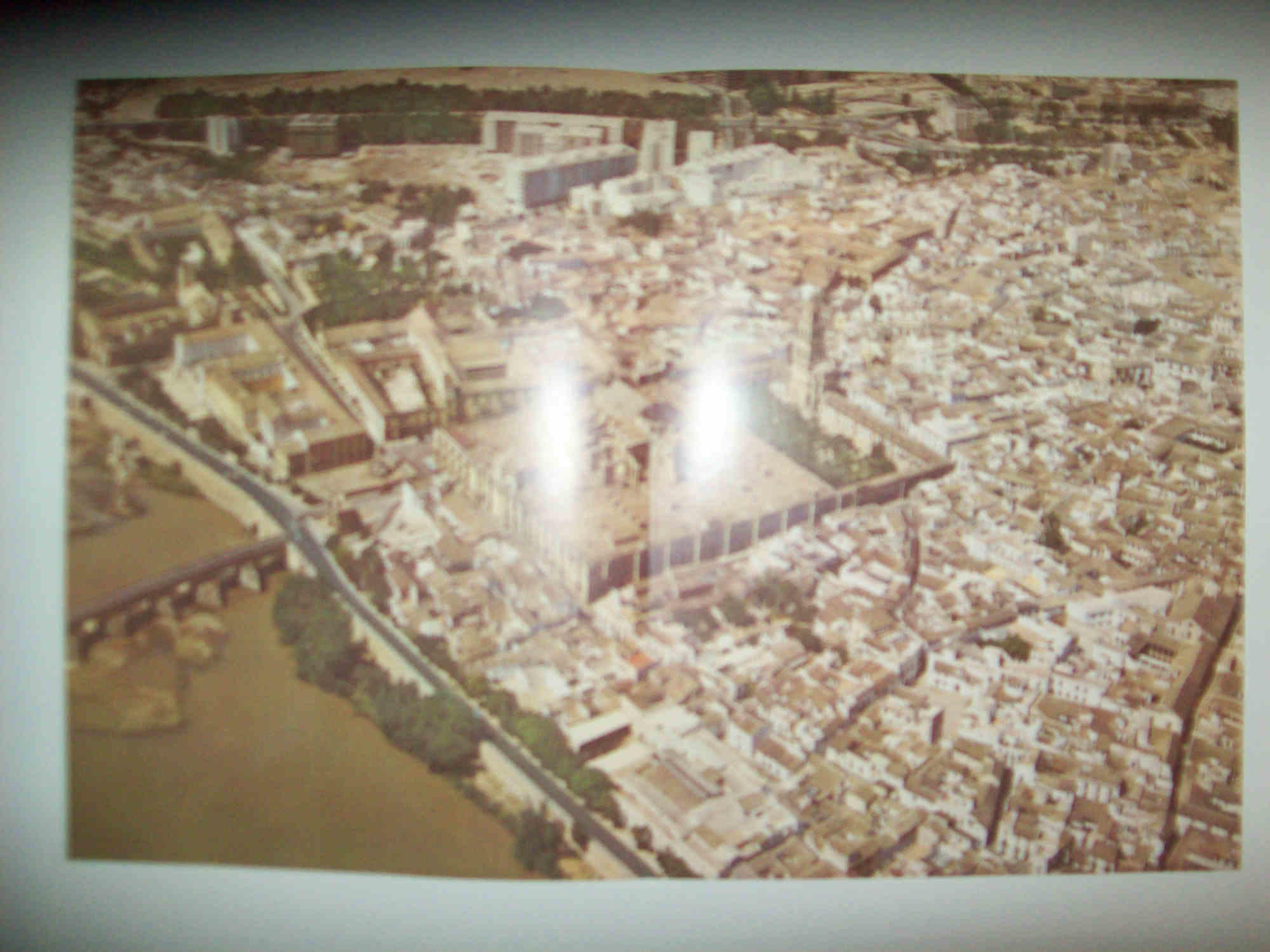 LAMINA 10948: Vista aerea de Cordoba