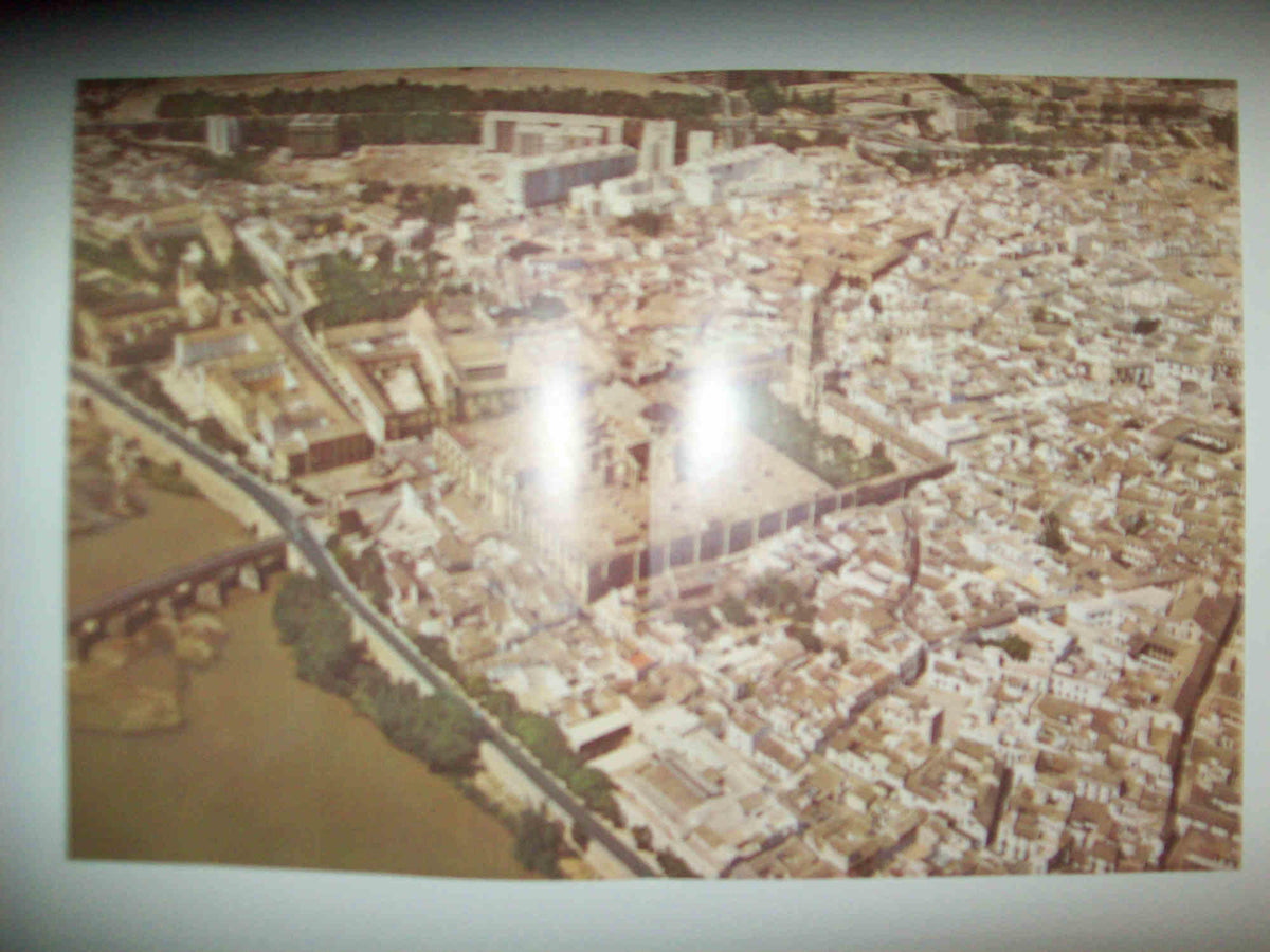 LAMINA 10948: Vista aerea de Cordoba