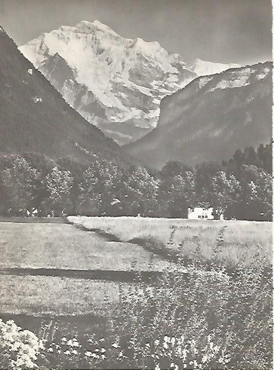 LAMINA 10992: Vista del Jungfrau de 4159 metros de altura