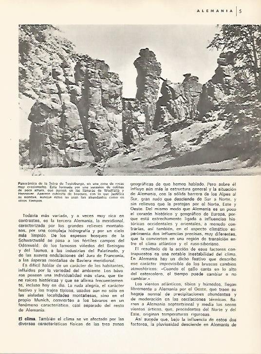 LAMINA 11028: Selva de Teutoburgo