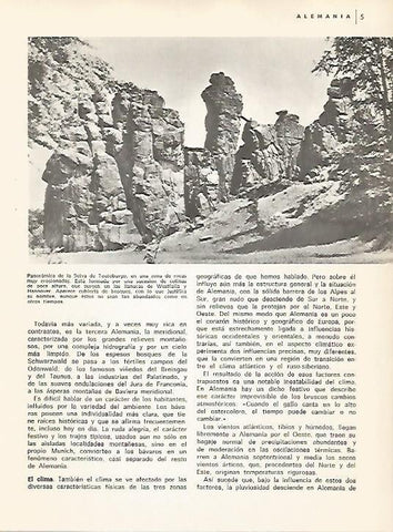 LAMINA 11028: Selva de Teutoburgo